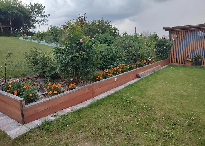 Brzozowisko - Z Balia Na Kaszubach *